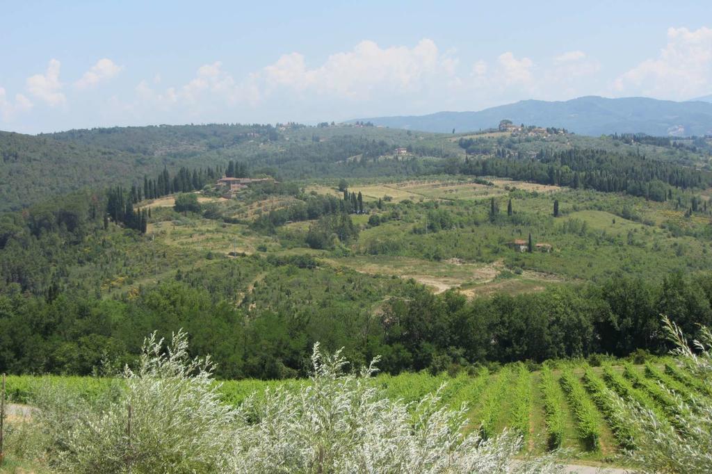 Winery Houses In Chianti Mercatale Val Di Pesa Room photo