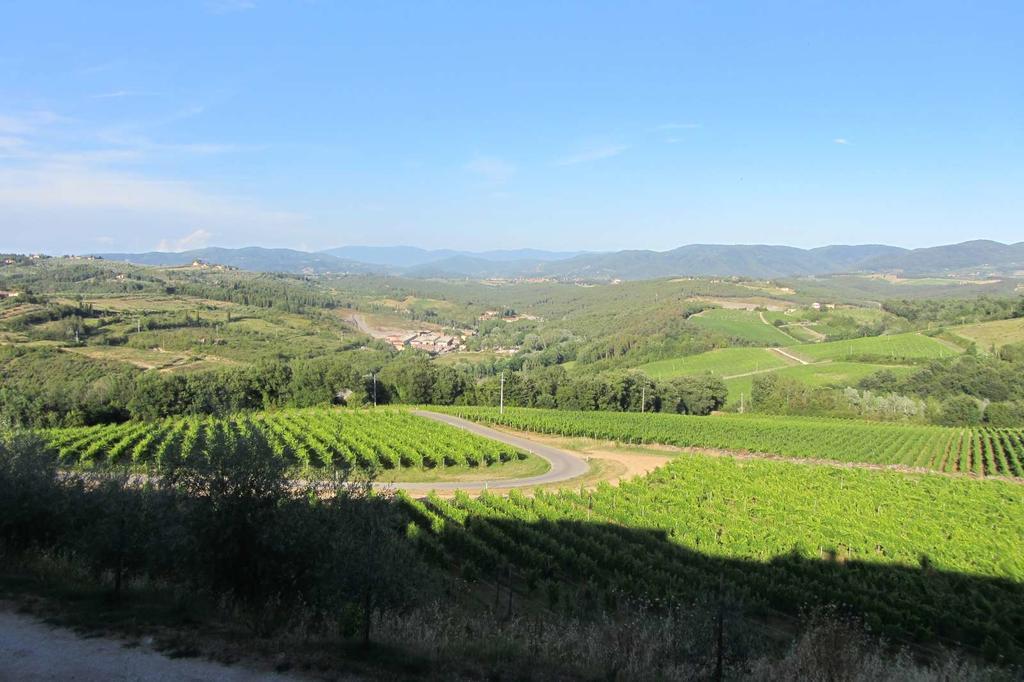 Winery Houses In Chianti Mercatale Val Di Pesa Exterior photo